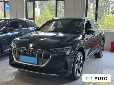 2019 Audi e-tron