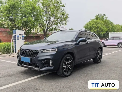 2019 WEY VV7
