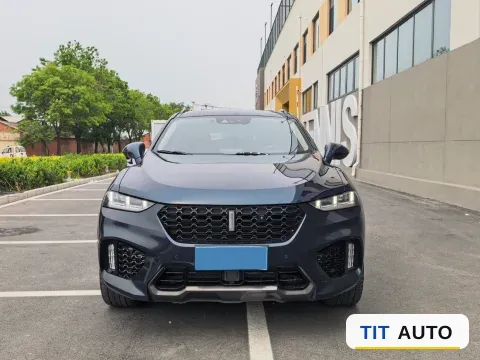 2019 WEY VV7 2
