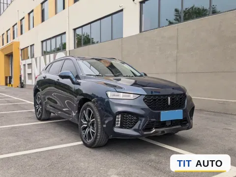 2019 WEY VV7 3