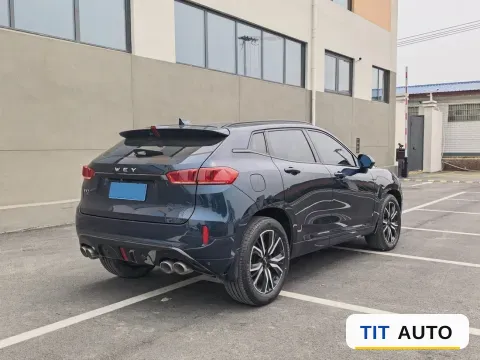 2019 WEY VV7 4
