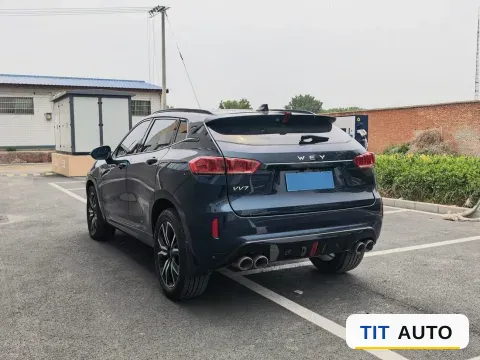 2019 WEY VV7 6