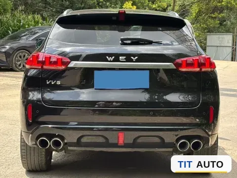 2019 WEY VV5 5