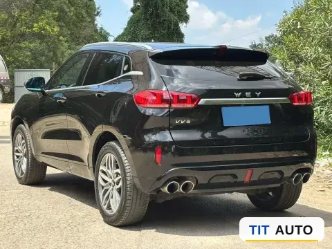 2019 WEY VV5 6